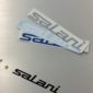 “Salani” trasferible writting AC20